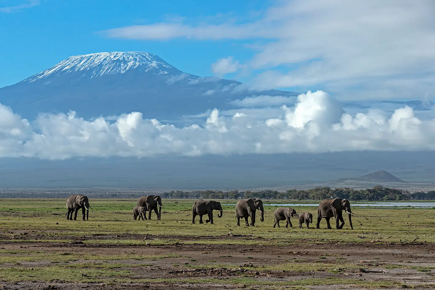 11 Days Kenya & Tanzania Safari